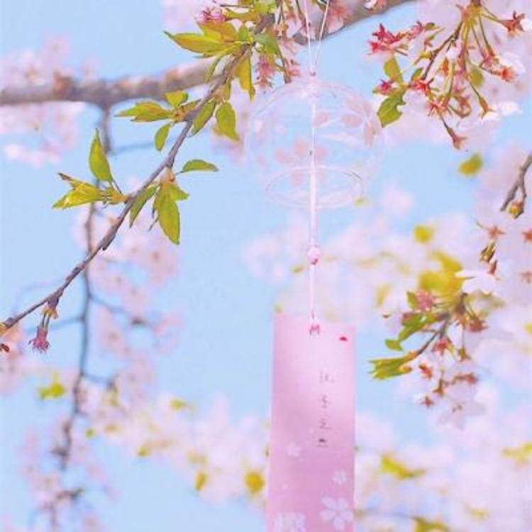 下司泰弘 - 山口珠理影片高清在线播放19 - 云端看视频